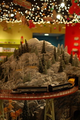 The 5th Annual Holiday Train Show at Grand Central Terminal. Photo taken by Brian Weinberg, 11/27/2006.