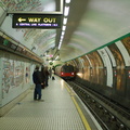DSC_9489.jpg