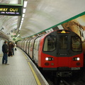 DSC_9492a.jpg
