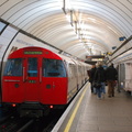 DSC_9495.jpg