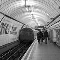 DSC_9497bw.jpg