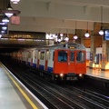 DSC_9521a.jpg