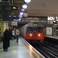 DSC_9525a.jpg