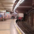 DSC_9540a.jpg