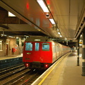 DSC_9543.jpg