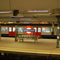 DSC_9547.jpg