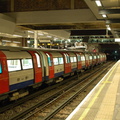 DSC_9552.jpg