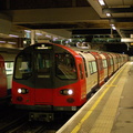 DSC_9557a.jpg