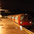 DSC_9562a.jpg