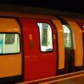 DSC_9565.jpg