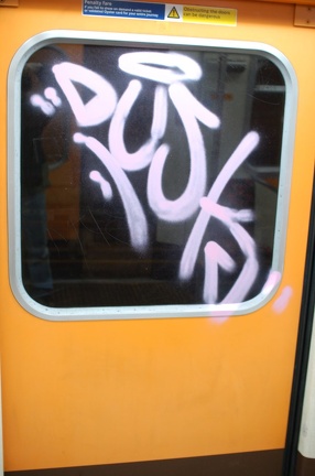 DSC_9931.jpg