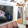 DSC_9936a.jpg