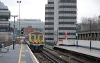 DSC_0229a.jpg