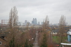DSC_0250.jpg
