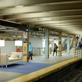 DSC_0733a.jpg