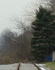 Recreated rails and ties along a section of the Staten Island North Shore right-of-way behind the restaurant R. H. TUGS. Photo t