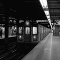 DSC_0943c.jpg