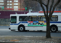 DSC_1048a.jpg