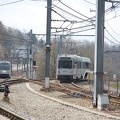 DSC_1612a.jpg