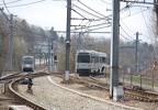 DSC_1612a.jpg