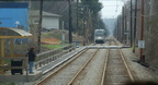 DSC_1650a.jpg