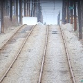 DSC_1709a.jpg