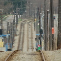 DSC_1714a.jpg