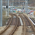 DSC_1719a.jpg
