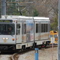 DSC_1776a.jpg