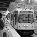 DSC_1779bw.jpg