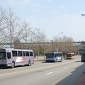 DSC_1952a.jpg