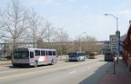 DSC_1952a.jpg
