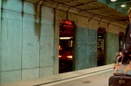 DSC_1984a.jpg