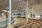 DSC_2017.jpg