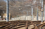 DSC_2041.jpg