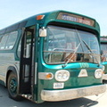 DSC_4202a.jpg