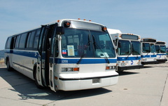 DSC_4207a.jpg