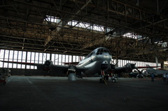 DSC_4242a.jpg