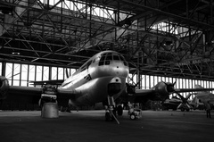 DSC_4243bw.jpg