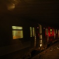 DSC_4961.jpg