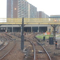 DSC_4981.jpg
