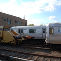 DSC_5236.jpg