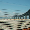 DSC_5551a.jpg