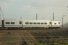 DSC_5613.jpg