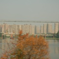 DSC_5644.jpg