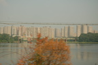 DSC_5644.jpg