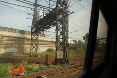 DSC_5655.jpg
