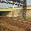 DSC_5657a.jpg
