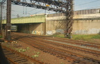 DSC_5657a.jpg