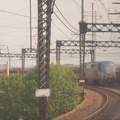 DSC_5670a.jpg